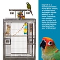 thumbnail image 5 of Prevue Pet Products Stainless Steel Playtop Bird Cage - Ideal for Cockatiels, Quakers, Green Cheek Conures, Parakeets, Lovebirds, Small Amazons, Parrots, Rolling Enclosure - Stainless Steel, Medium, 5 of 20