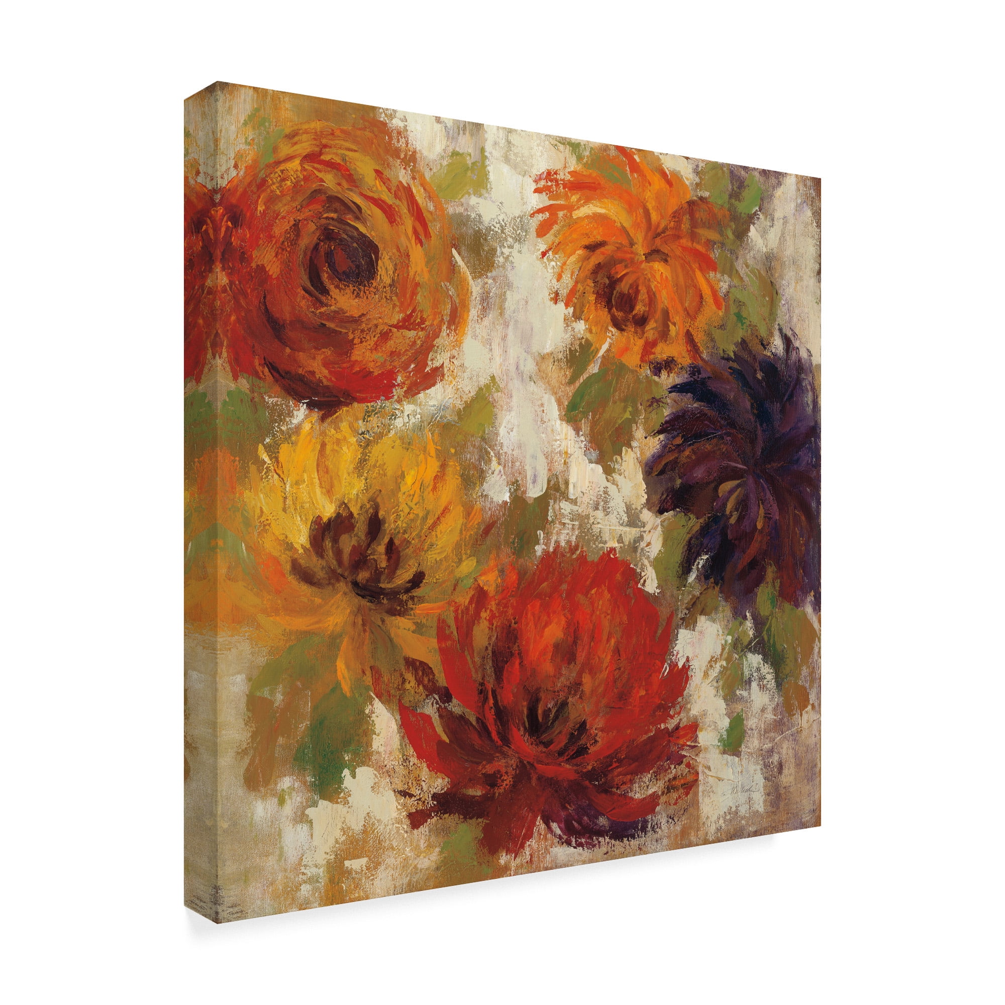 Trademark Fine Art 'Fiery Dahlias II' Canvas Art by Silvia Vassileva