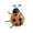 C, variant on Metal Ladybug Wall Art, Cute Insect Garden Decor, Colorful Iron Wall Sculpture for Outdoor Fence, Tree, and Backyard, Hand-Painted Spring Summer Ornament for Patio, Porch
