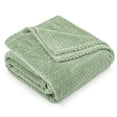 thumbnail image 2 of PAVILIA Soft Fleece Light Green Throw Blanket for Couch, Lightweight Plush Warm Blankets for Bed, Fuzzy Cozy Flannel Blanket Throw for Sofa, Travel, Jacquard Pattern, Sage Green, 50x60 inch, 2 of 8
