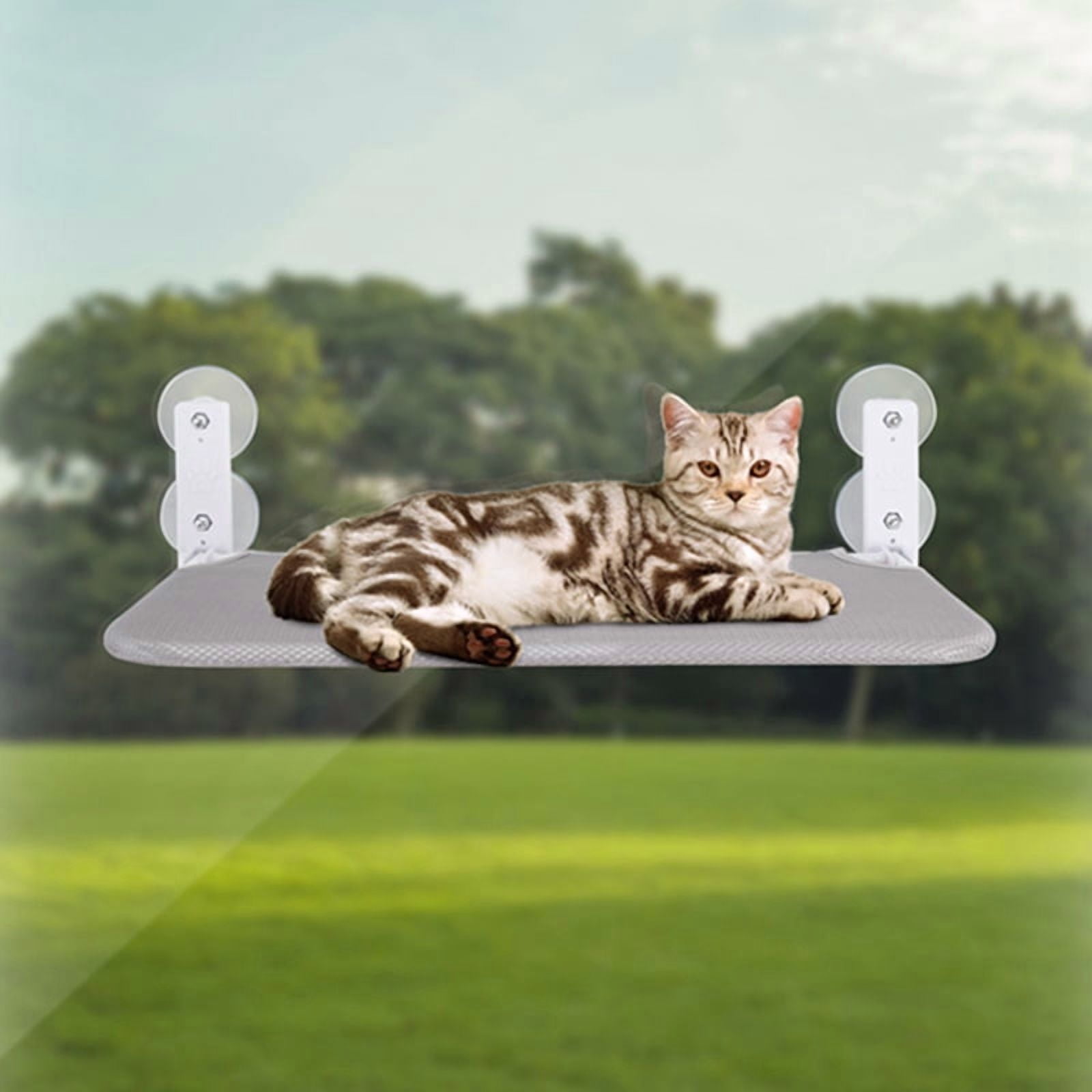 1 x Cat Window Perch Kit-As Shown