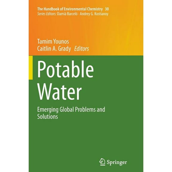 Handbook of Environmental Chemistry Potable Water: Emerging Global Problems and Solutions, Book 30, (Paperback)