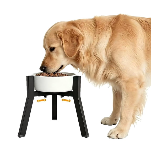 Dog Bowl Stand - Adjustable Width Raised Feeder, 11 Inch Tall Single Holder Fits 7 to 10.6 Inch Bowls, Black