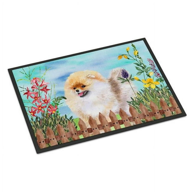 Carolines Treasures CK1244MAT Tapis d'Intérieur Ou d'Extérieur à Ressort - 18 x 27 Po.