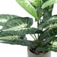 thumbnail image 4 of Billuyoard Plantas en macetas artificiales verdes con patrones claros Hoja trasera de tortuga Flores artificiales Decoración, 4 of 6