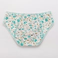 Teen Girls Protective Panties Leak Proof Underwear Heavy Flow Women Postpartum Briefs - Walmart.com