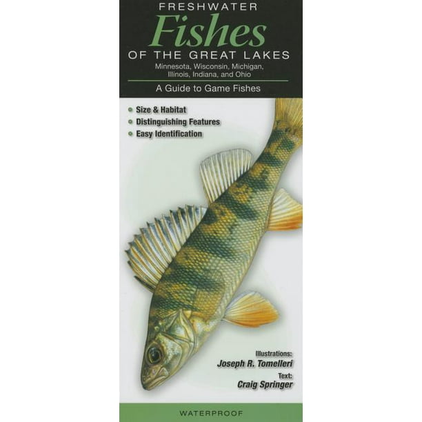 Freshwater Fishes of the Great Lakes : A Guide to Game Fishes - Walmart ...