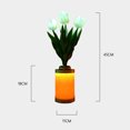 thumbnail image 4 of Florero de tulipán LED Luz nocturna Decoración para el hogar Enchufe USB o alimentado por batería (Blanco), 4 of 6