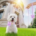 thumbnail image 6 of Minzimin Dog Collar and Leash Set with Bowtie, Soft & Cute Puppy Collar, Cotton Puppy Collar with Adjustable Metal Buckle for Small, Medium Dog, 6 of 9