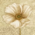 thumbnail image 2 of Gladding, Pamela 15x15 White Modern Wood Framed Museum Art Print Titled - Soft Bloom II, 2 of 4
