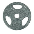 thumbnail image 1 of GoZone Grip Weight Plate – Silver, 1 of 3