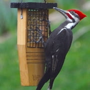 Natures Way Cedar Suet Tail Prop Bird Feeder 1 Cake, Brown