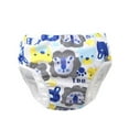 thumbnail image 1 of Hiiyo Baby Leak Proof Cute Swimming Diaper Cartoon Ruffle Swim Trunks Shorts, 1 of 2