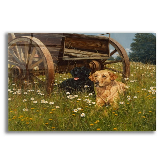 Epic Art 'Rest Awhile' by Bill Makinson, Acrylic Glass Wall Art, 24"x16"