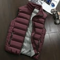 thumbnail image 2 of IYTR Mens Winter Coat Sleeveless Jacket Zipper Stand-Up Collar Loose Warm Vest Jacket Coat with Pocket Solid Color Wine XXXL, 2 of 4