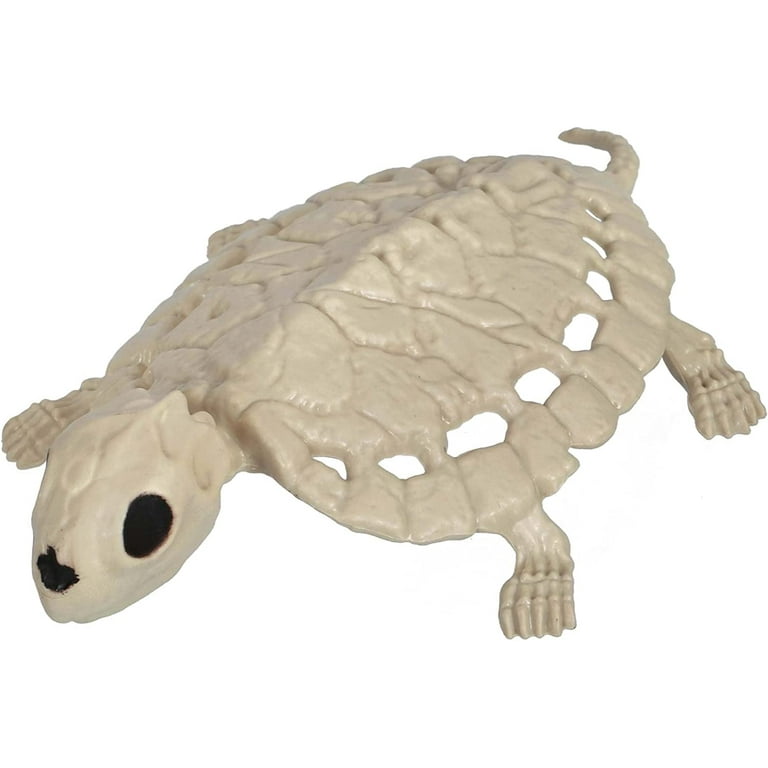 新品　CALMA STORE 38灯 Skelton Tortoise 新品 CALMA STORE 38灯 Skelton Tortoise Amazon.com