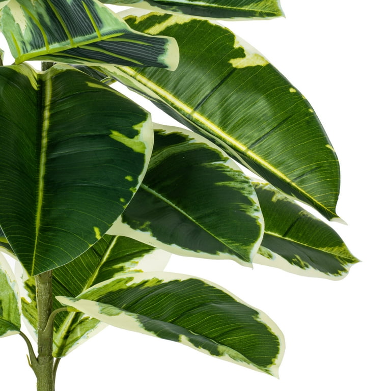 Vickerman 50" Artificial Potted Real Touch Dieffenbachia. - Walmart.com