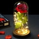 thumbnail image 1 of Rosa de La Bella y la Bestia, Rosa Eterna y Luz LED bajo Cúpula de Vidrio Rosa Artificial sobre Base de Madera para Decoración de Boda Aniversario Navidad Día de la Madre Regalo de Boda Rojo, 1 of 5