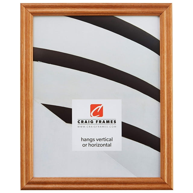 Craig Frames 200ASH 19 by 23-Inch Picture Frame, Wood Grain Finish, 0.75" Wide, Natural Brown