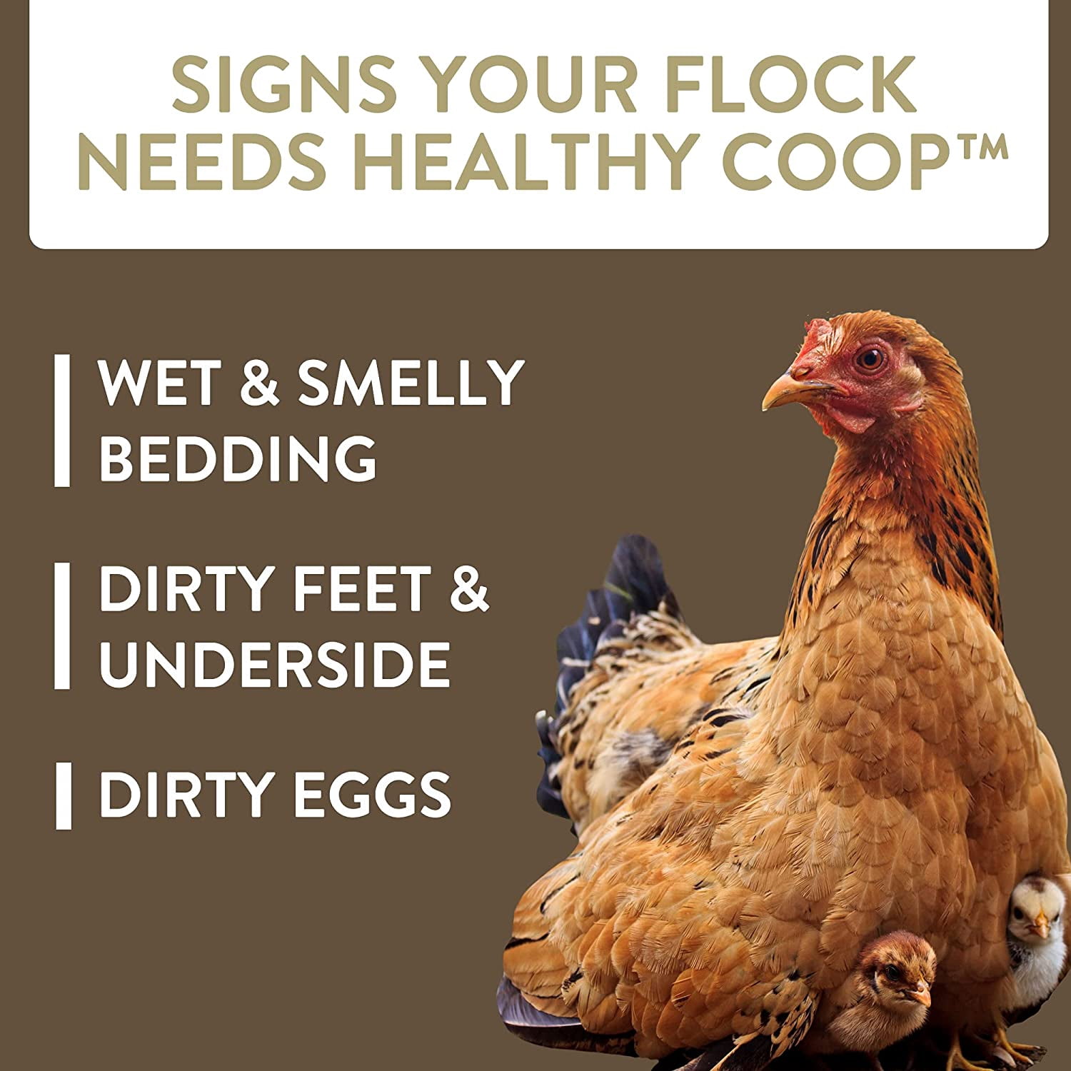 FlockLeader Healthy Coop, Litter Additive for Chicken Coop with Probiotic & Acidifier, Reduces Odor, Wetness & Bacteria, 12lbs FlockLeader HealthyCoop