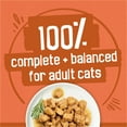 thumbnail image 4 of Purina Friskies Turchicken Gravy, Soft Variety Pack, Wet Cat Food, 5.5 oz Cans, 4 of 10
