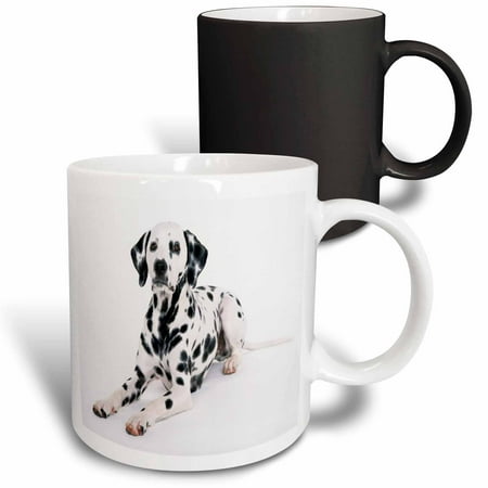 

3dRose Majestic Dalmation Portrait Magic Transforming Mug 11oz