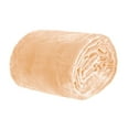 thumbnail image 2 of Vivalon Ultra Soft Korean Mink Blanket Queen Beige, 2 of 2