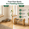 thumbnail image 3 of Raised Cat Bowl Stand, Dinosam  Elevated Cat Bowls, 6 Heights Adjustable Elevated Dog Bowls with 10oz 2 Stainless Steel, Adjusts to Heights 2.95"-6.89", 3 of 9