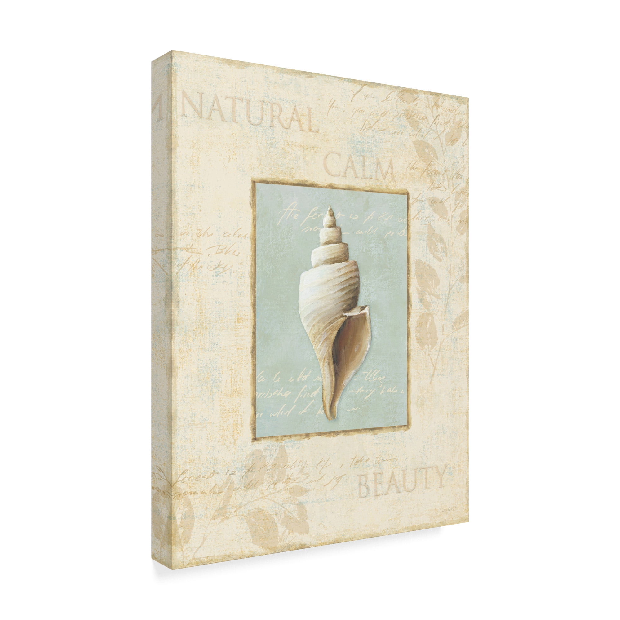 Trademark Fine Art 'Soothing Words Shells I' Canvas Art by Lisa Audit