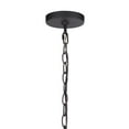 thumbnail image 5 of Craftmade Lighting - Neo - 1 Light Outdoor Pendant In Transitional Style-18, 5 of 5