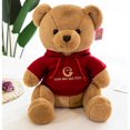 thumbnail image 1 of Nuevo suéter de oso de peluche de juguete de peluche de oso de peluche - HAPDEN, 1 of 4