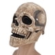 thumbnail image 4 of Máscara De Halloween, Máscara De Calavera, Látex Vívido, Cómodo, Transpirable, No Tóxico Para Navidad, Pascua, Fiesta, 4 of 8