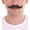 Black, variant on Men's Premium Imperial Human Facial Hair Mustache | HPO