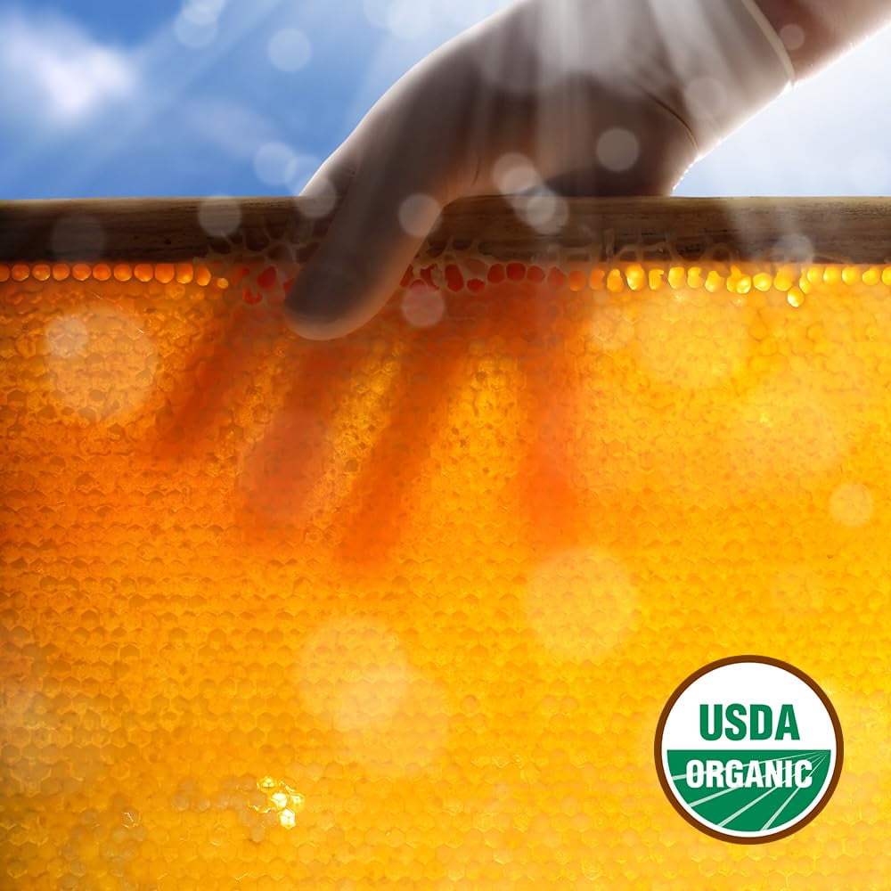 GloryBee Save the Bee Clover Honey, 6/5 lb jugs, Kosher, Non GMO Verified, and True Source Certified, 5lb Honey