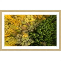 Marmont Hill "Dense Growth" By Karolis Janulis Framed Painting Art Print, 24.0" x 1.5"