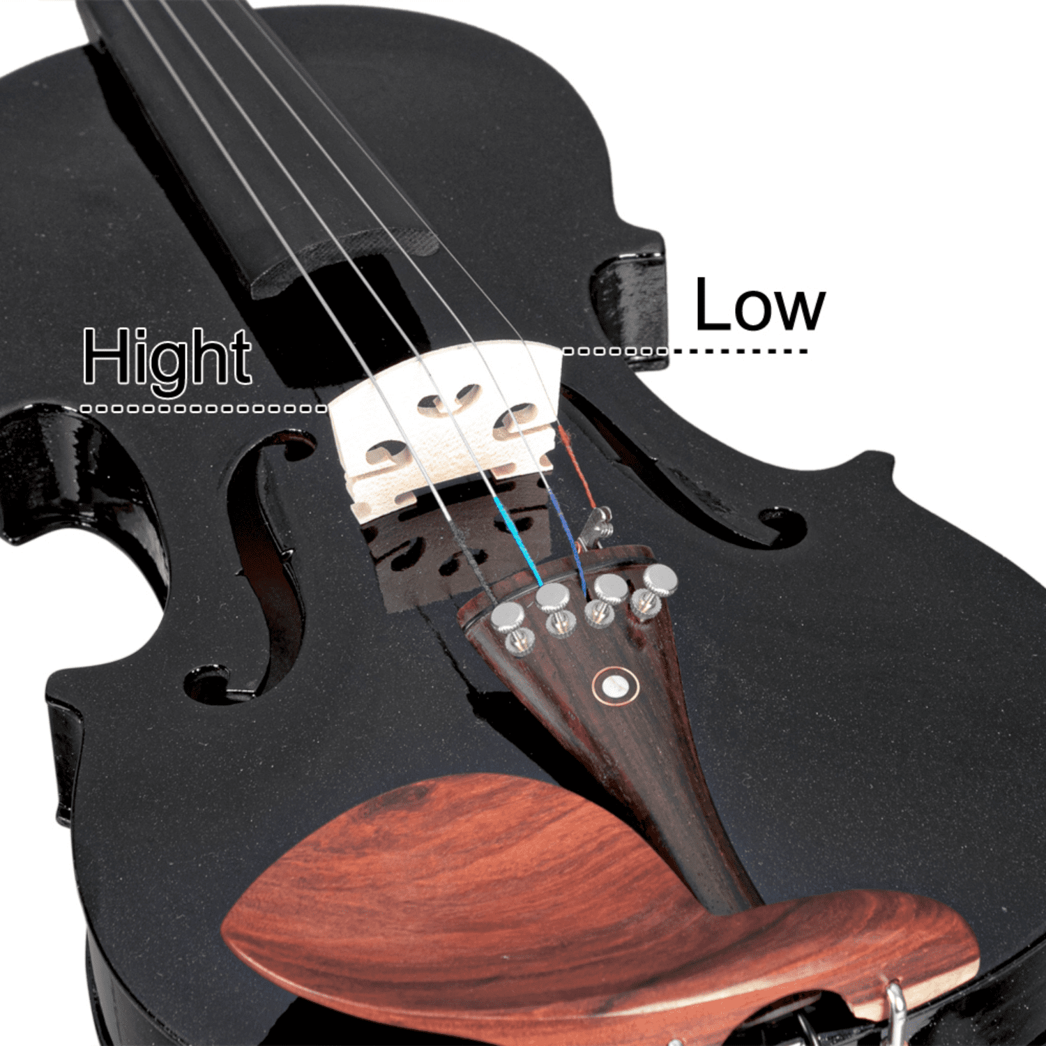 Hassch Violin 4/4, Acoustic Fiddle for Beginners with Case, Bow, Rosin, Strings, Turner, Wipe Cloth and Shoulder Rest, Black