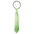 thumbnail image 1 of Spring Notion Boys' Satin Zipper Necktie Sage Large, 1 of 4