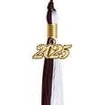thumbnail image 2 of Endea Graduation Maroon/White Graduation Tassel with Gold Date Drop, 2 of 9