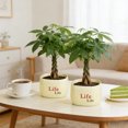 thumbnail image 6 of Fasiaou 4 Counts Plastic Flower Pot with Drainage Holes Thickened Durable Round Planter for Indoor Outdoor Plants Home Garden Decor Flocking Surface Decorative Vase, 6 of 6