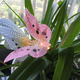 thumbnail image 2 of Cadena de luces LED con forma de mariposa de fibra óptica para acampar, iluminación para jardín, tronco de árbol, mercado nocturno, 2 of 5