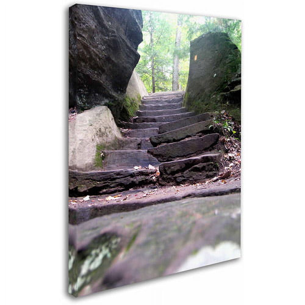 Trademark Fine Art "Endless Stairway" Canvas Art by Monica Fleet