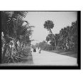 thumbnail image 2 of Historic Framed Print, [Women on walk, probably Palm Beach, Fla.], 17-7/8" x 21-7/8", 2 of 9