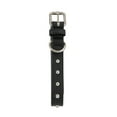 thumbnail image 5 of Vibrant Life Studded Leather Fashion Dog Collar, Black, Extra Small, 5 of 10