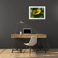 thumbnail image 3 of Bonin, Suzanne 32x25 White Modern Wood Framed Museum Art Print Titled - Prettier In Yellow, 3 of 4