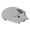 Gray, variant on Dpisuuk Wireless Mouse Bluetooth & 2.4GHz Dual Mode Cute Animal Pig Shape Mouse with USB Receiver Portable Compact Optical Silent Mouse for Laptop PC Tablet MacBook Kids Women Men Gift, Green