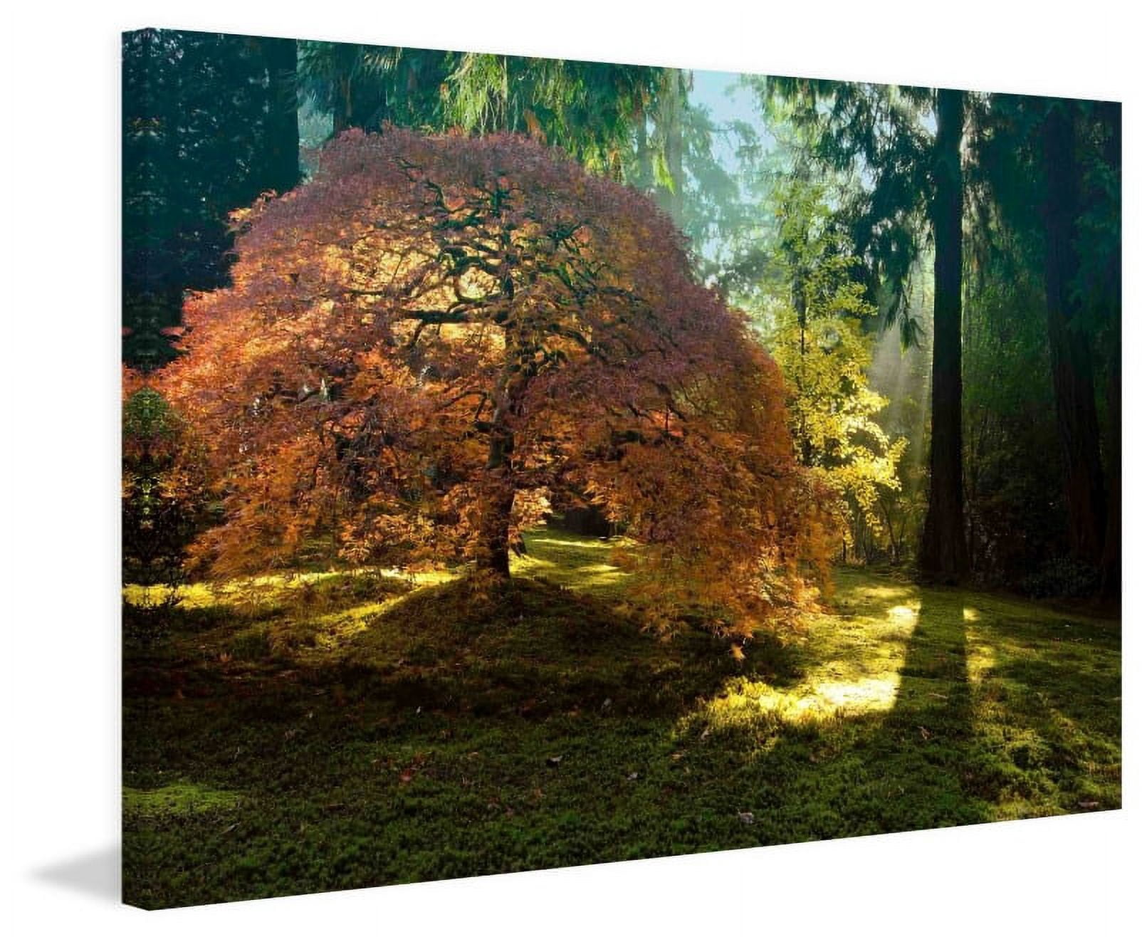 Marmont Hill "In the Gentle Autumn Light" Painting Print on Canvas