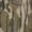 Mossy Oak Original Shadow Grass, variant on Rogers Men's Camo Brute Zip Hoodie Jacket