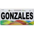 thumbnail image 1 of Mexico Veracruz Photo License Plate Free Personalization on this plate, 1 of 1