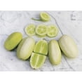 thumbnail image 3 of Dragon Eggs Seeds for Planting - 20 Seeds - White Cucumber Seeds - Ships from Iowa, USA, 3 of 4