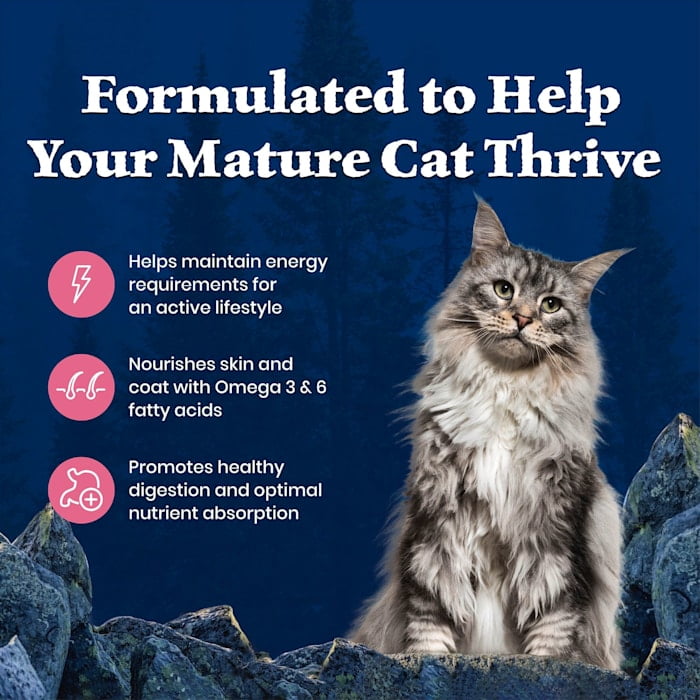 Blue Buffalo Wilderness High-Protein Salmon Mature Cat Food, 7+ Years, 5lb photo 7